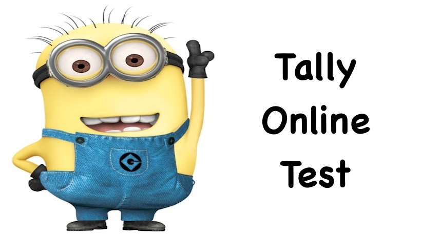 Tally Online Test Series 1st